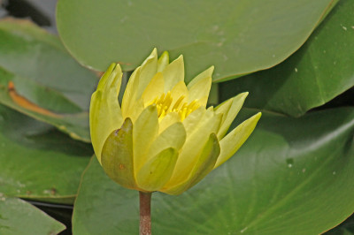 P0043